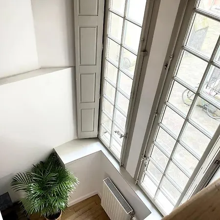 Duplex Avec Terrasse En Hypercentre De Апартаменты Гренобль