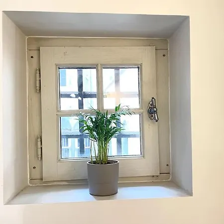 Duplex Avec Terrasse En Hypercentre De Гренобль