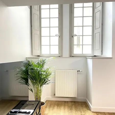 Duplex Avec Terrasse En Hypercentre De Апартаменты Гренобль