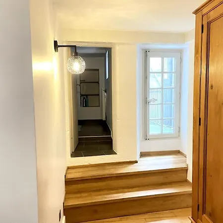 Duplex Avec Terrasse En Hypercentre De Appartamento Grenoble