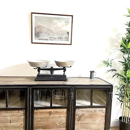 Duplex Avec Terrasse En Hypercentre De * Grenoble