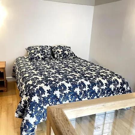 Duplex Avec Terrasse En Hypercentre De