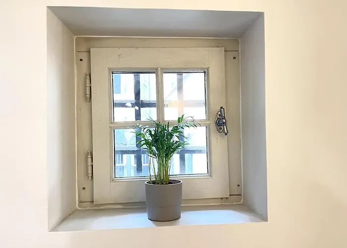 Duplex Avec Terrasse En Hypercentre De גרנובל