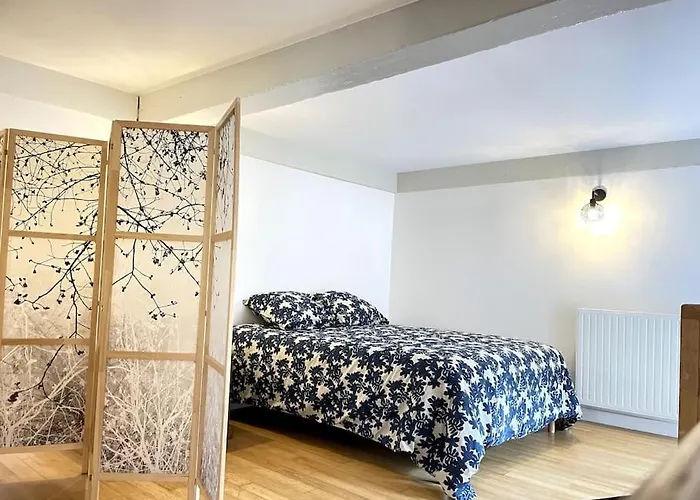 Duplex Avec Terrasse En Hypercentre De Grenoble