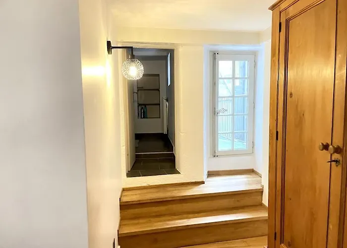 Duplex Avec Terrasse En Hypercentre De Apartment Grenoble