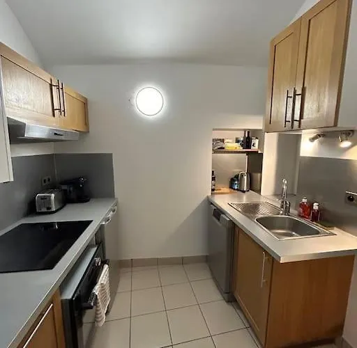 Duplex Avec Terrasse En Hypercentre De Apartment *