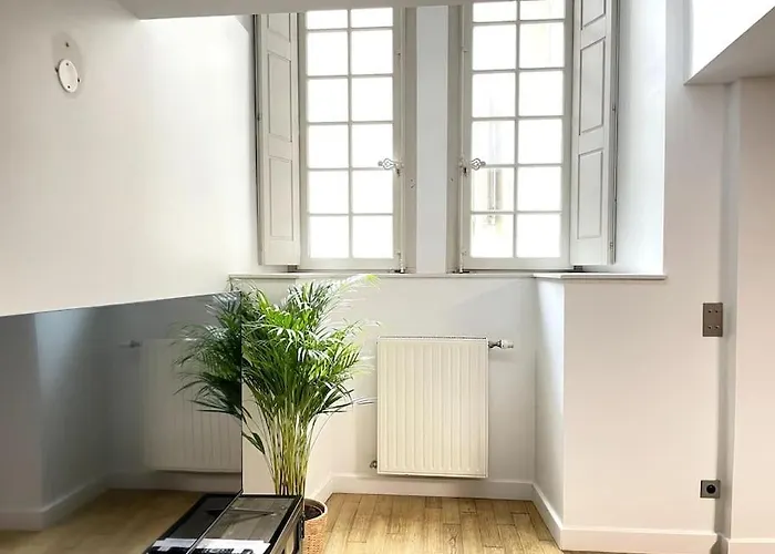 Duplex Avec Terrasse En Hypercentre De Apartment Grenoble