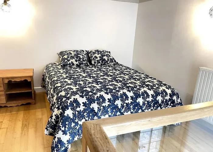 Duplex Avec Terrasse En Hypercentre De